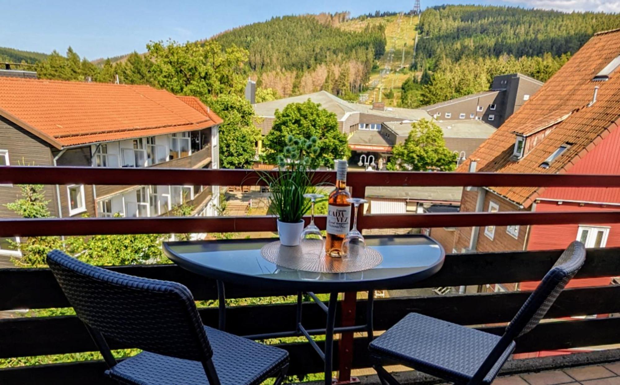 Chill Out Apartment Bergblick 戈斯拉尔 外观 照片